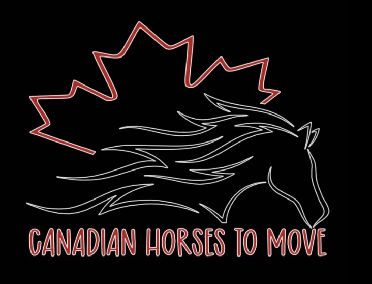 Canadian Horses To Move